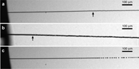 Atomic Physics at Storage Rings