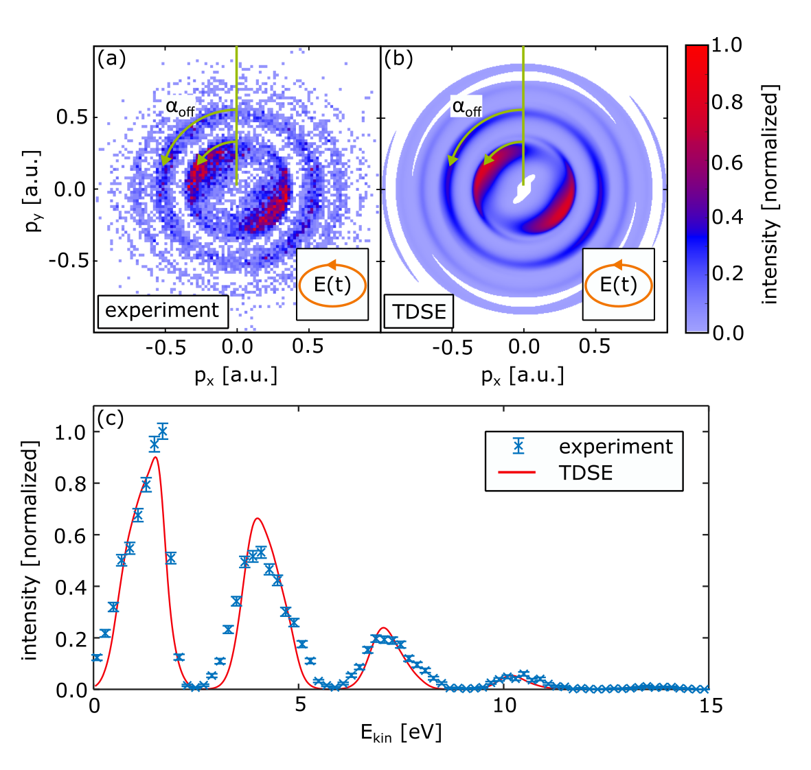 fig1