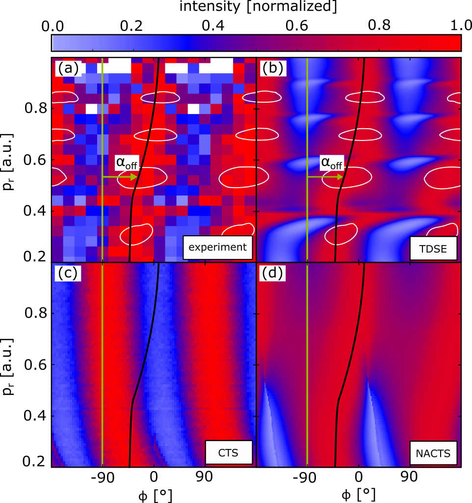 fig2